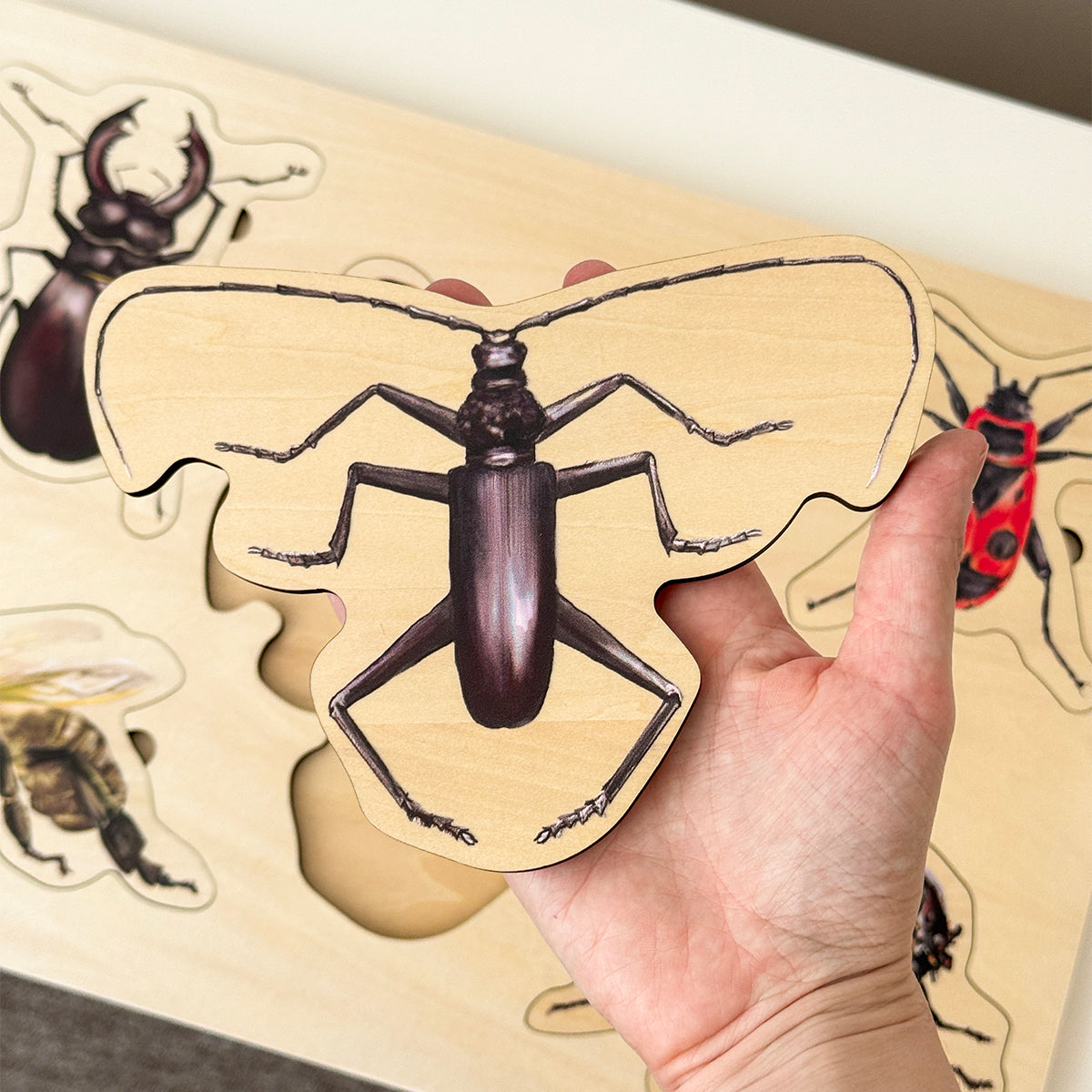 Drevené puzzle - Hmyz