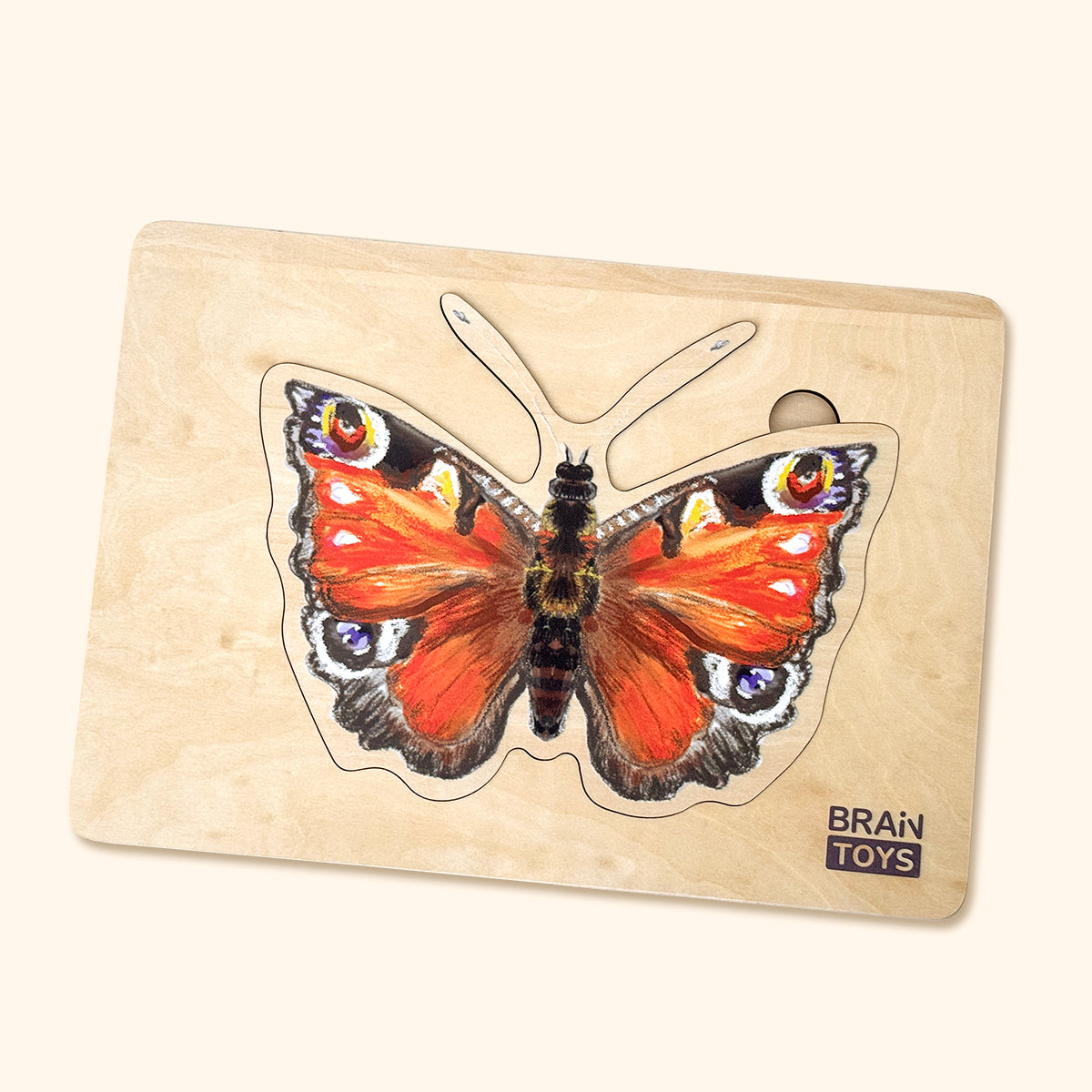 Drevené puzzle - Vývoj motýľa