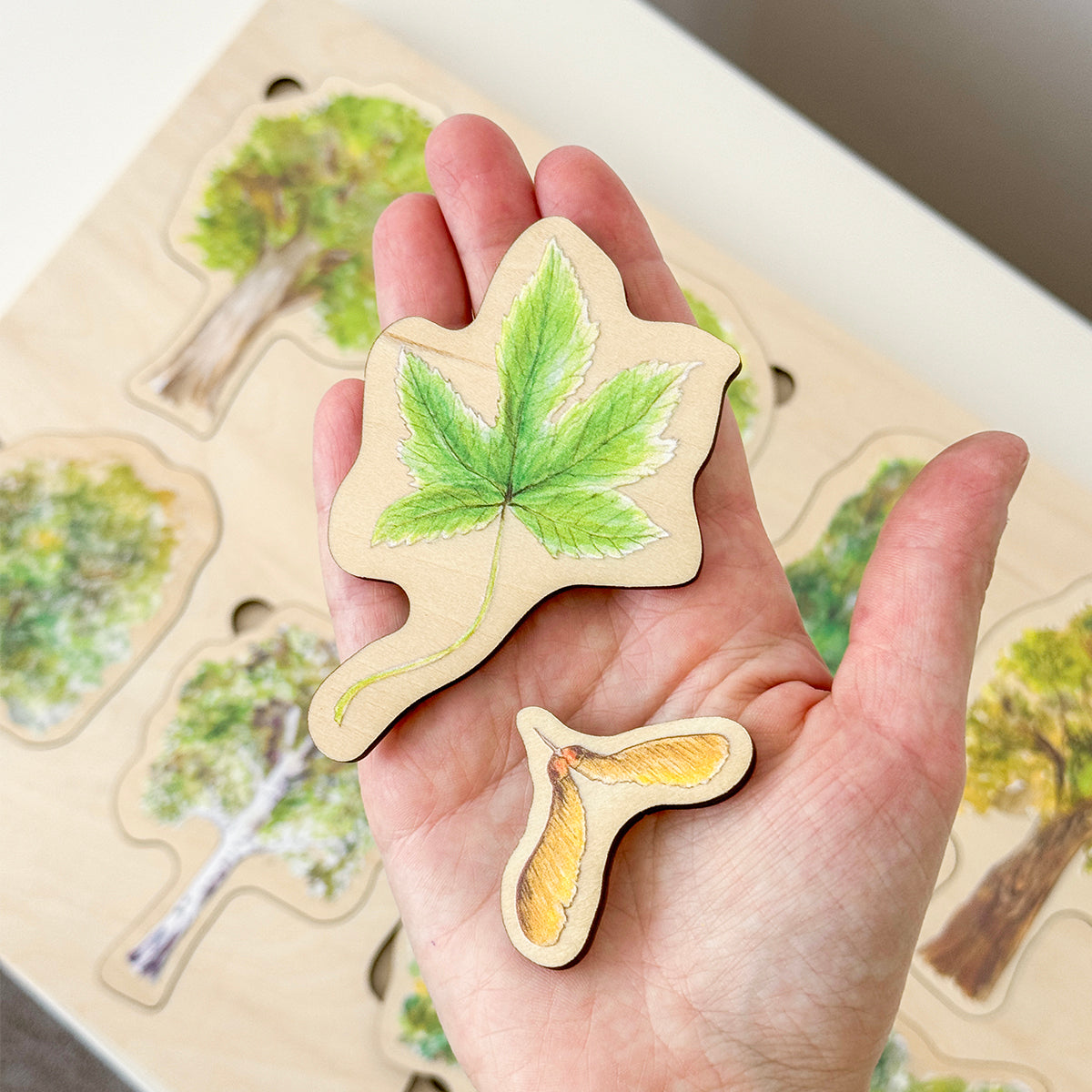 Drevené puzzle - Stromy