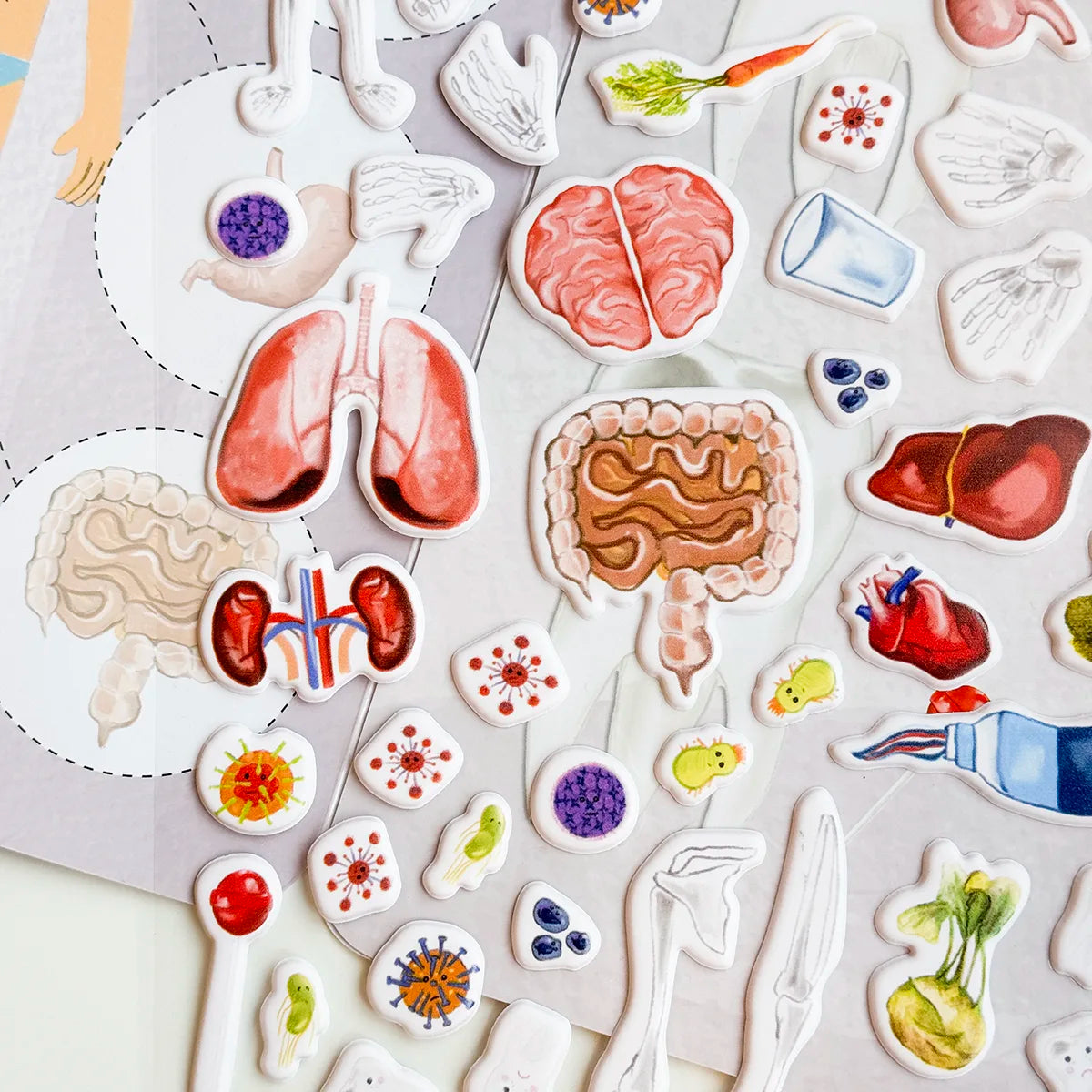 3D REstickiez - Ľudské telo