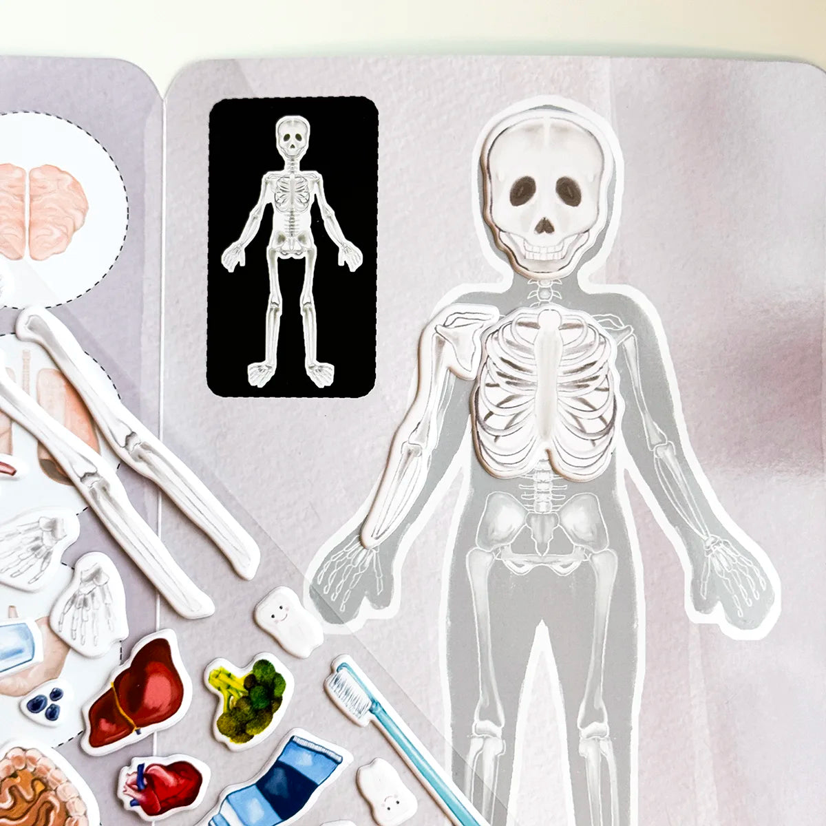 3D REstickiez - Ľudské telo