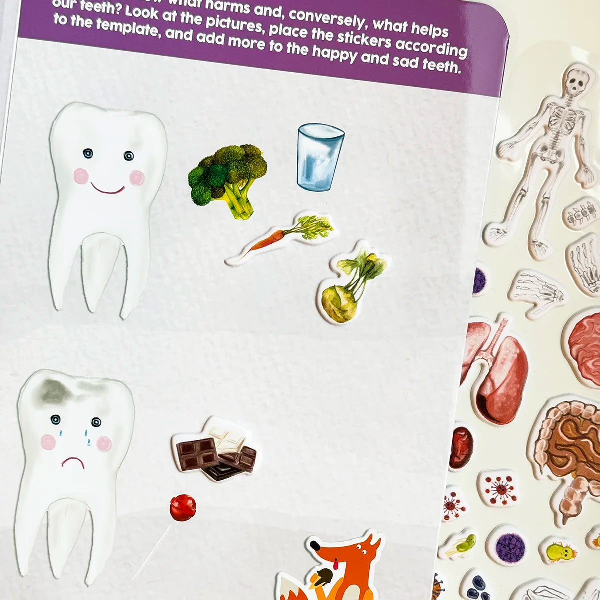 3D REstickiez - Ľudské telo