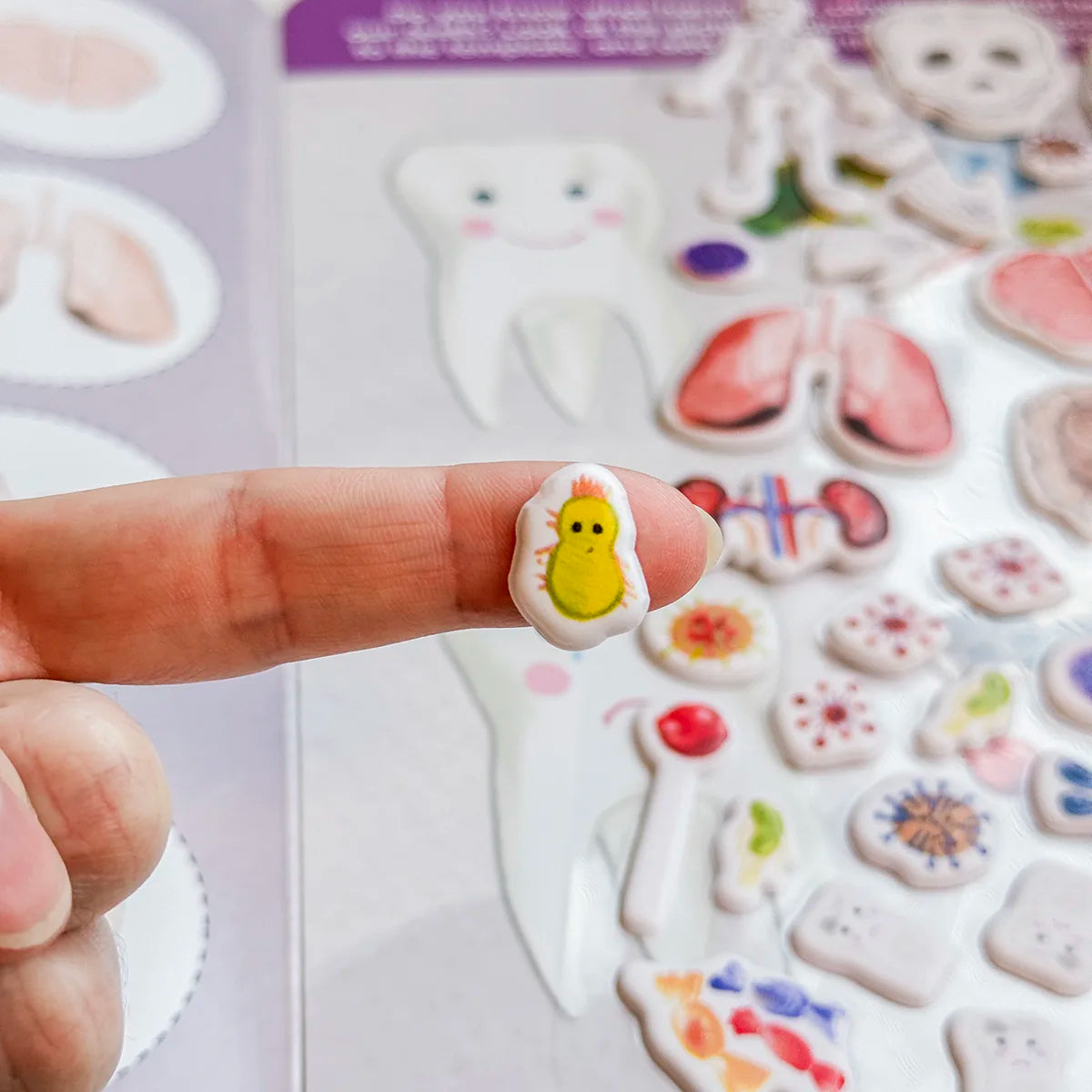 3D REstickiez - Ľudské telo