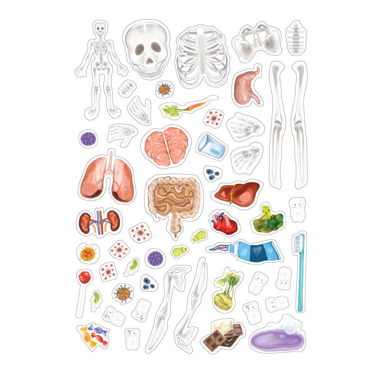 3D REstickiez - Ľudské telo