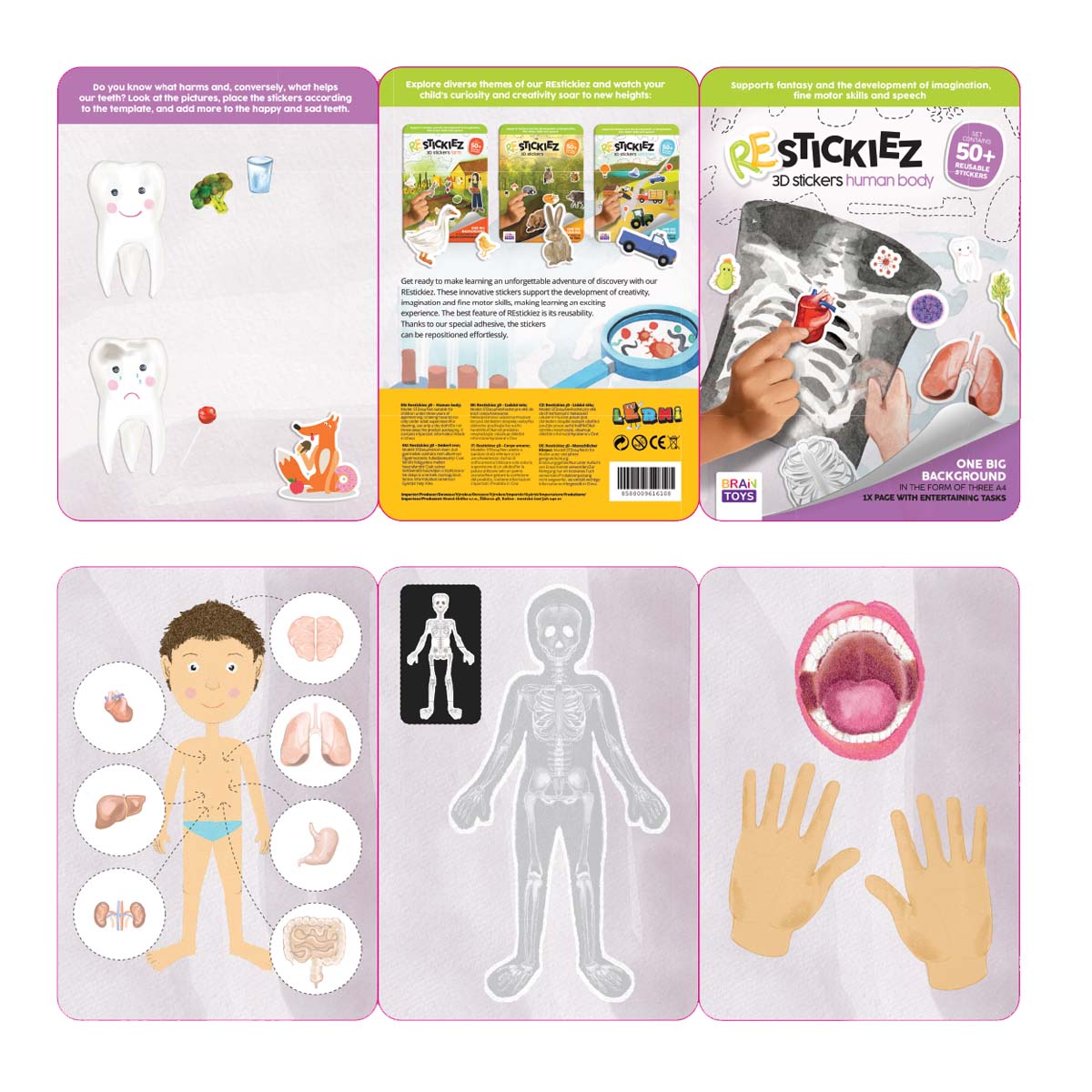 3D REstickiez - Ľudské telo