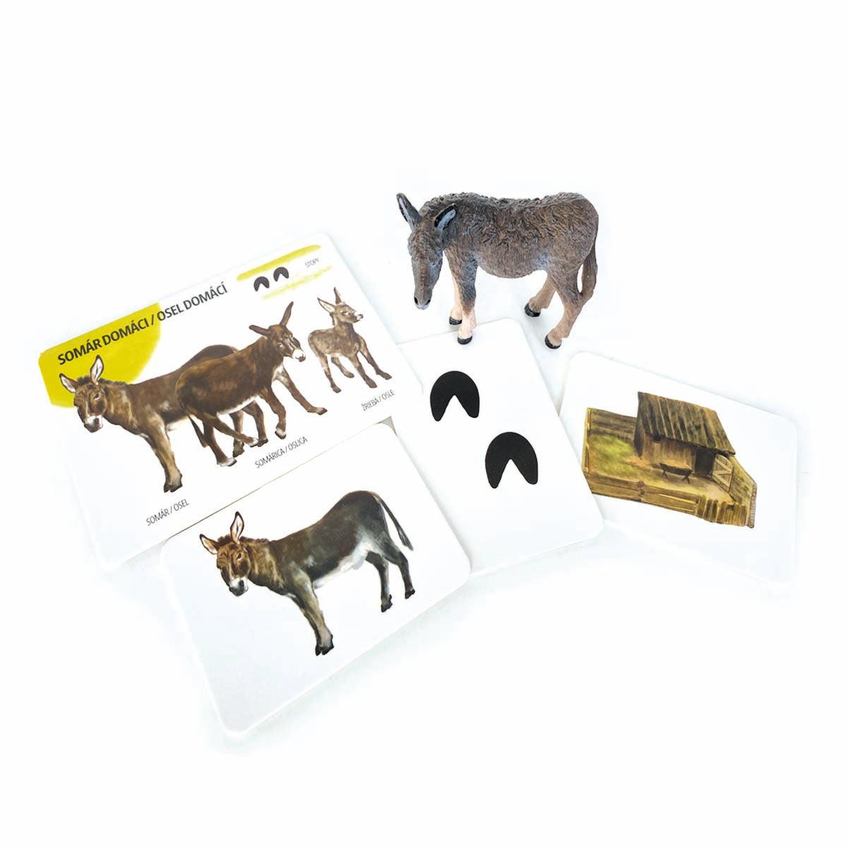 Set figúrok domácich zvierat a edukačných kariet SK/CZ