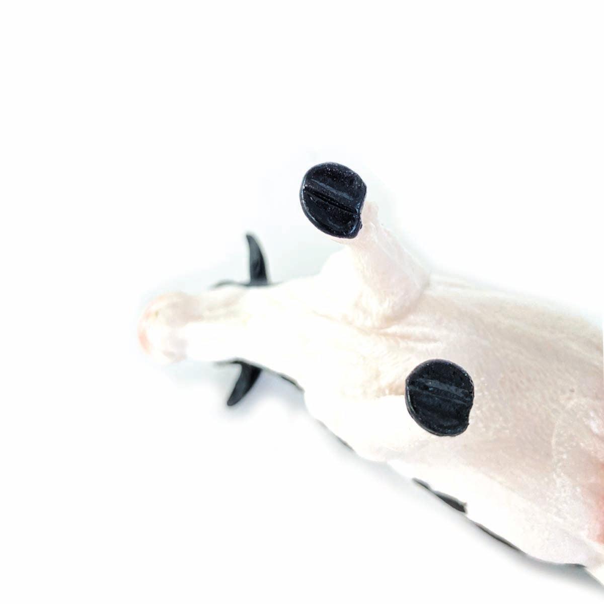 Set figúrok domácich zvierat