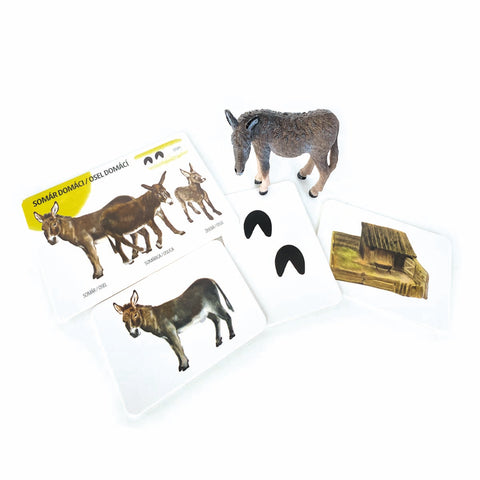 Set figúrok domácich zvierat a edukačných kariet