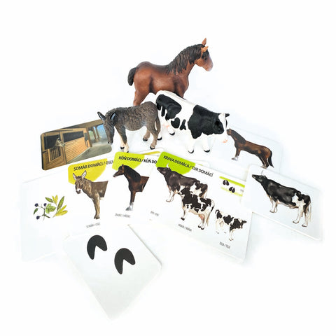 Set figúrok domácich zvierat a edukačných kariet