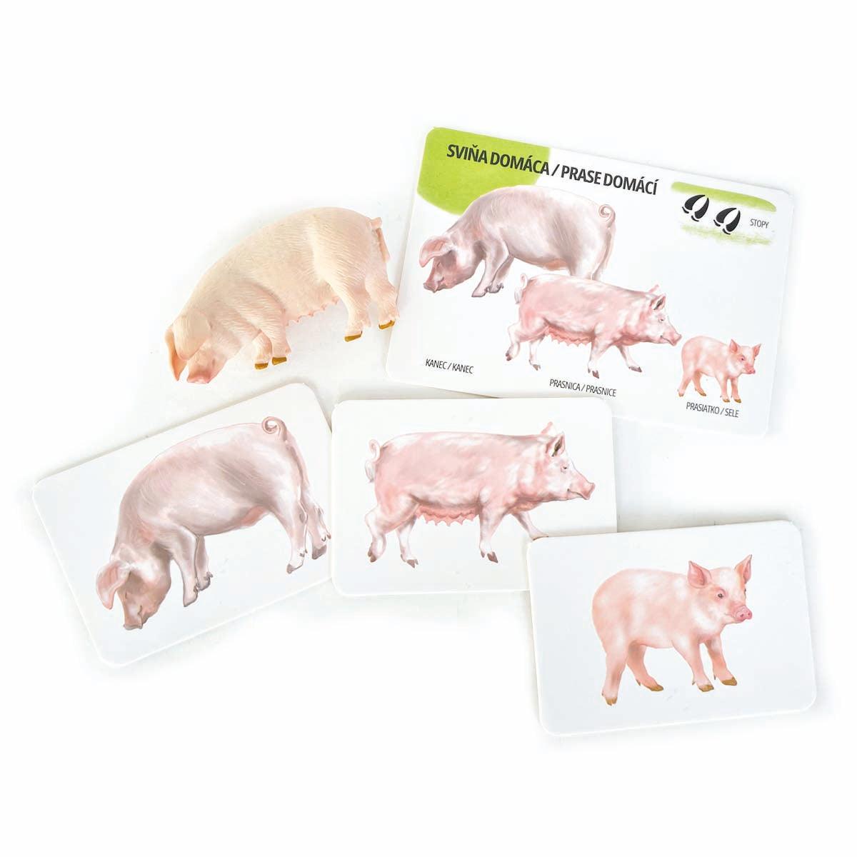 Set figúrok domácich zvierat a edukačných kariet SK/CZ