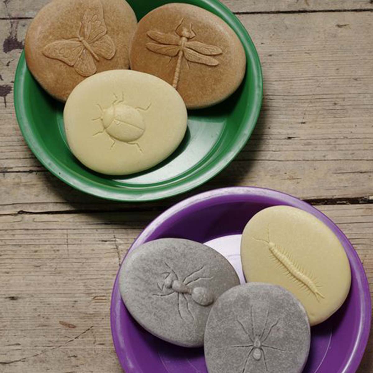 kamenný odliatok motýľa, lienky, vážky v zelenej keramickej miske a kamenný odliatok mravca, pavúka a stonožky vo fialovej keramickej miske