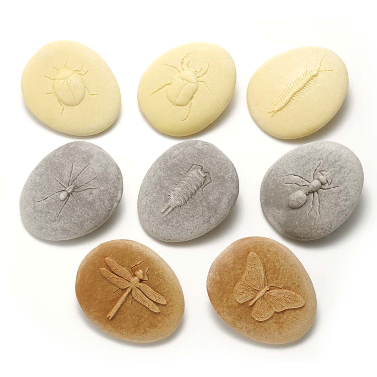 okrúhly kamenný odliatok lienky, chrobáka, stonožky, pavúka, vošky, mravca, vážky a motýľa
