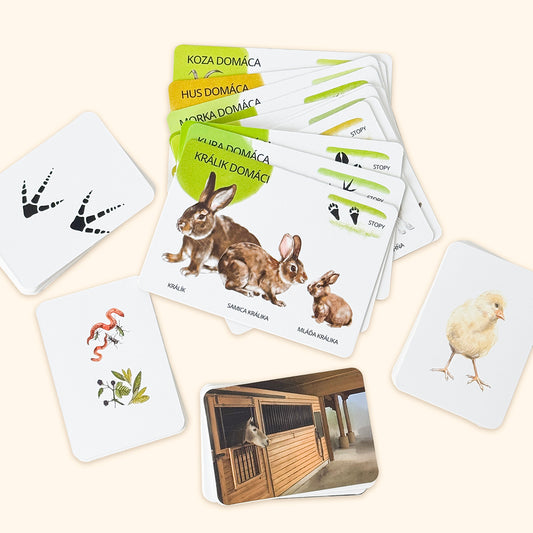 Sada edukačných kariet domáce zvieratá SK