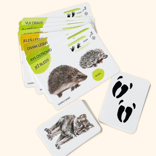 Sada edukačných kariet lesné zvieratá, SK