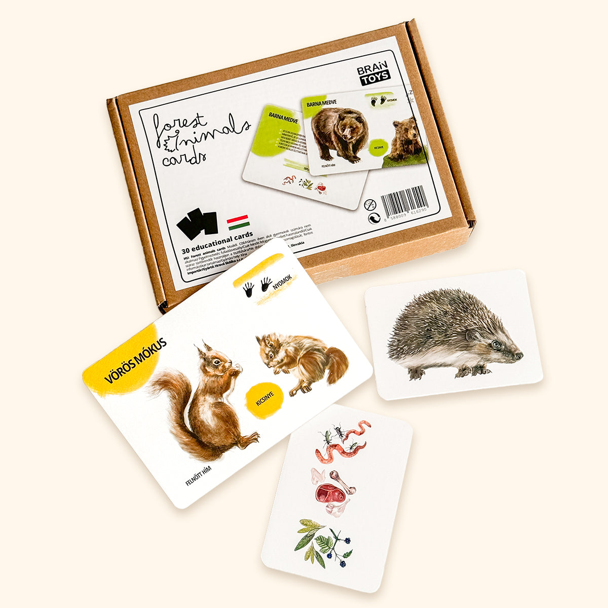 Sada edukačných kariet lesné zvieratá HU