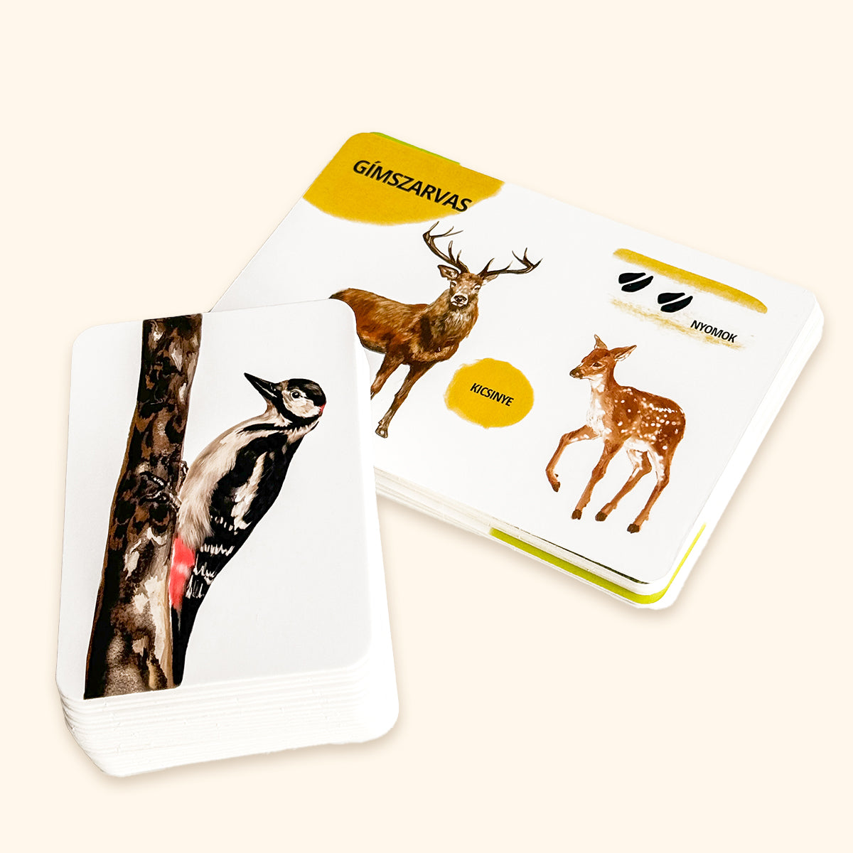 Sada edukačných kariet lesné zvieratá HU