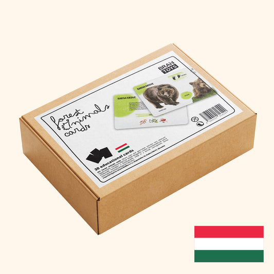Sada edukačných kariet lesné zvieratá HU