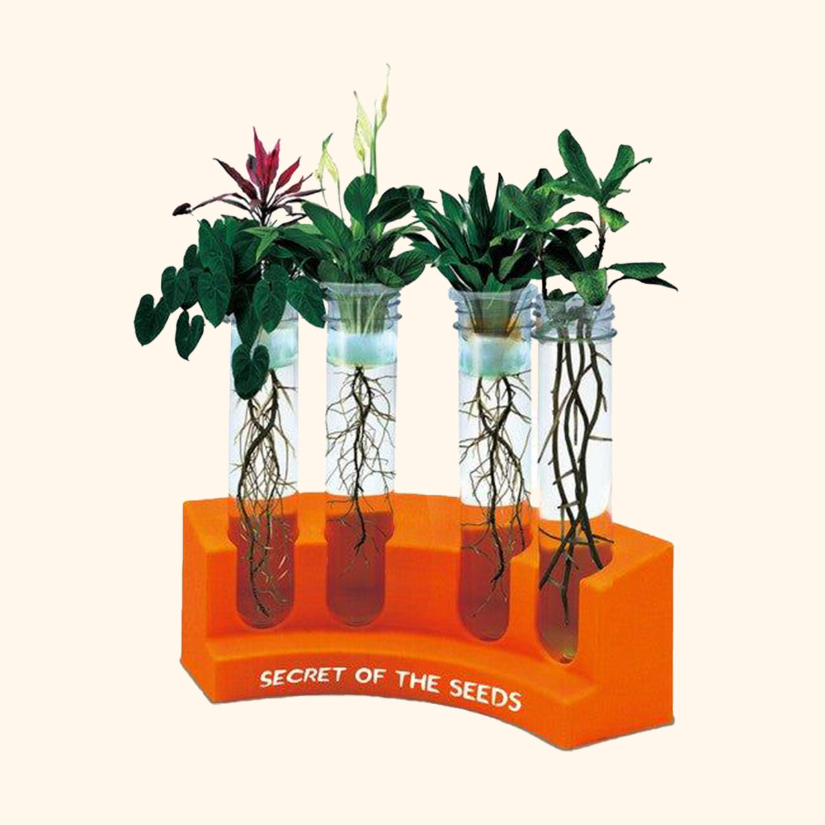 Zázračný svet - Pestovanie rastlín