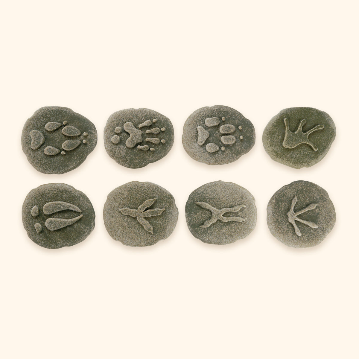 Stopy lesné zvieratká