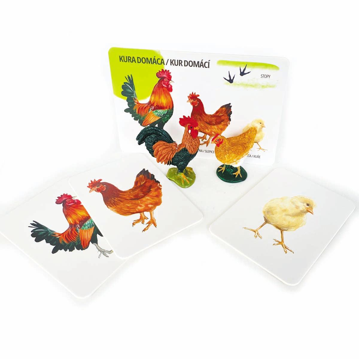 Set figúrok domácich zvierat a edukačných kariet SK/CZ